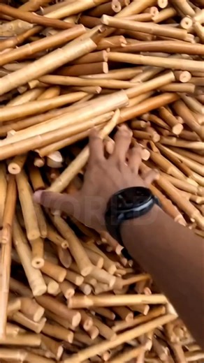 container me mile gulli danda #mystery #shortsfeed #shorts