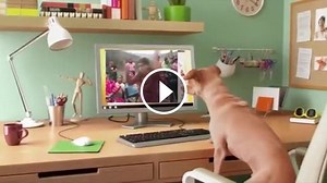 Dáš si Fofolu? (paródia)