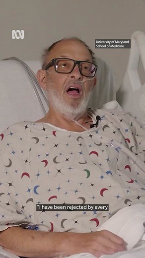 The second ever person to receive a pig’s heart transplant has died, nearly six weeks after the operation. Lawrence Faucette, 58, was dying from heart failure and ineligible for a traditional heart transplant when he received the genetically modified pig heart. #ABCNews #Pig #Surgery #HeartTransplant #Xenotransplant