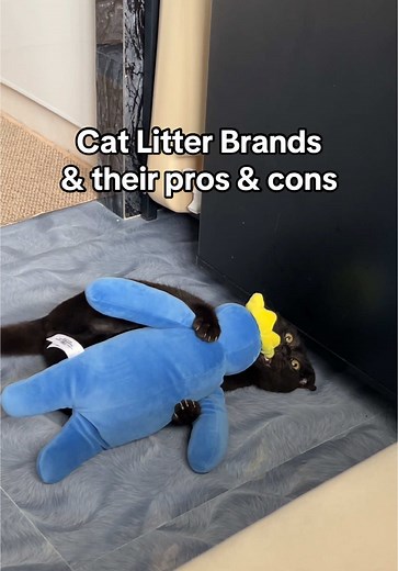 Comparing Popular Cat Litter Brands: Pros and Cons