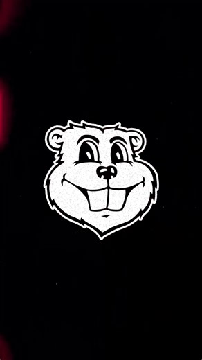 2.8K views · 302 reactions | Gophers are here️ | Minnesota Football | Facebook