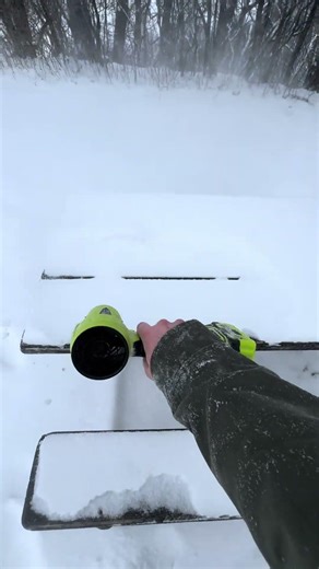 Handheld Snow/Leaf Blower