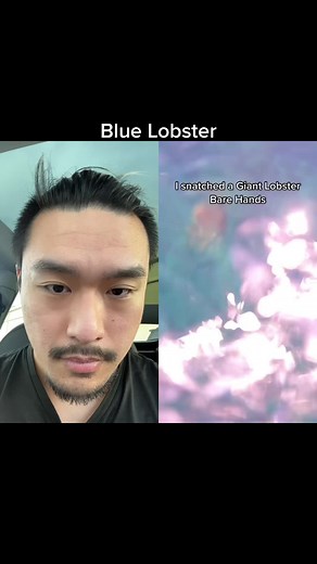 Discover How Lobsters Swim and Their Unique Colors