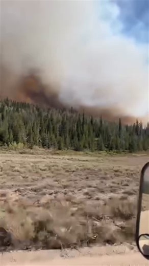 TheHotshotWakeUp: Substack/Podcast on Instagram: "The Dollar Lake Fire in the Bridger Teton National Forest in Wyoming has grown the 9,891 acres, and resources continue to arrive on scene. The fire is now broken up into 4 divisions, with crews and heavy equipment building line off the Green River Lakes Road. Crews are also scouting out in front of the fire for natural holding features that can use to slow the fires spread. Storm systems are expected to bring outflow winds later today, with minim