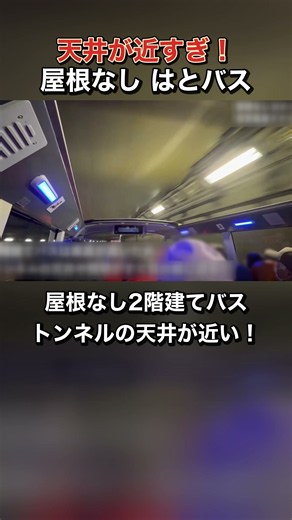 天井が近すぎ！屋根が無いはとバスで東京夜景ドライブ #Shorts