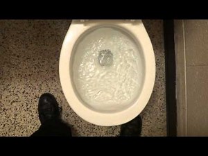 Bathroom Tour: Vintage toilet Crane? and Glacier Bay Toilet