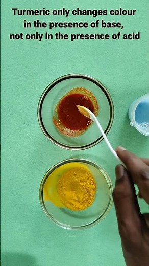Turmeric as Indicator-Acid, Base and Neutralisation Reaction #science #experiment