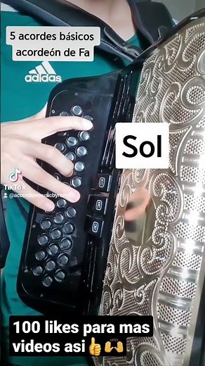 5 ACORDES BASICOS del acordeón de Fa #acordeon #accordion