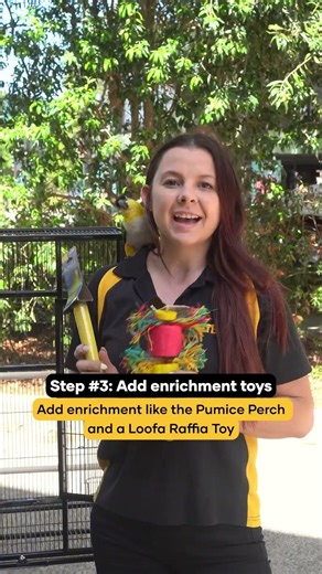 How to set up your bird cage?