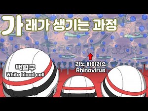 How Phlegm Forms | Mucus and Respiratory System Explained (Animated)