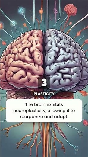 Top-5 facts about human brain that'll blow your mind...🤯🧠#mindblowingfacts #humanbrainfacts