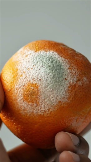 3D vs 4D part 1 #3dvs4d #educationalvideo #fourthdimension #sciencesimplified #spaceandtime