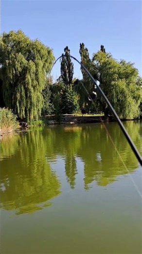 Spinning rod for nano jig. #fishing #perch #stritfishing #angler