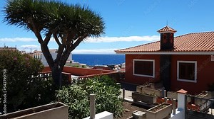 Landscape view with big yucca tree and a house and blue ocean at horizon.