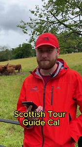 Scottish tour guide Cal tells us his FAVOURITE Scottish view! #scotland #visitscotland #travelscotland #scenicview | Scotland's Wild