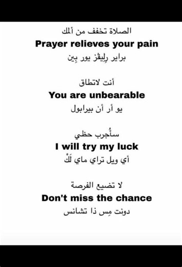 تعلم أهم الجمل الإنجليزية المستخدمة في الحياة اليومية 📚✨