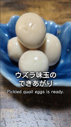 ウズラの玉子１つだけで作る味玉 #簡単レシピ #料理 #まいにちごはん #おつまみ #レシピ