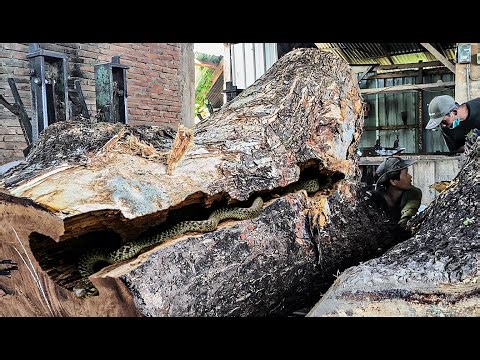 Unexpected Trouble at the Sawmill ‼️ Damaged Log Creates Big Problem