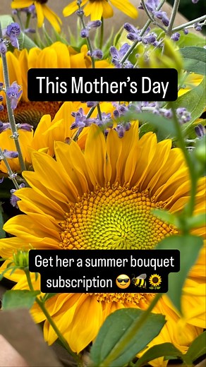 Three and six-week options are available. Give Mom fresh, local flowers! #locallygrownflowers #marylandgrownflowers #mothersday | Merry Bees Flower Farm