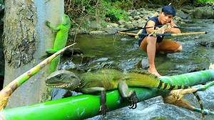 1.2K views · 15 reactions | Jungle My Life Shoot Iguana By Bamboo Gun In Forest Cook Tree Iguana For Dinner | Galvin Planet | Facebook