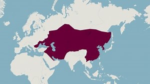 Mongol Empire Map Animation Mongol Empire Stock Footage Video (100% Royalty-free) 3796321307 | Shutterstock