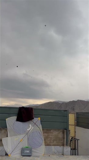 Rate my peches #end level #kitelovers #kiteflying #checkview #viralshort