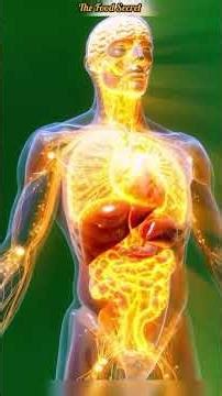 What Happens to Your Body When You Oats Every Day Science Explained