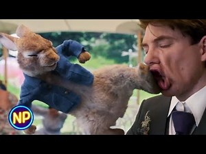 You're Not My Father! (Wedding Scene) | Peter Rabbit 2: The Runaway