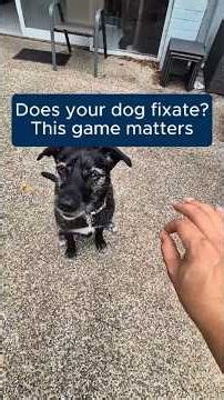 Teach Your Dog Impulse Control With This Simple Game