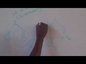 Mechanism for synthesis of pyrazole{1,2 Azoles}