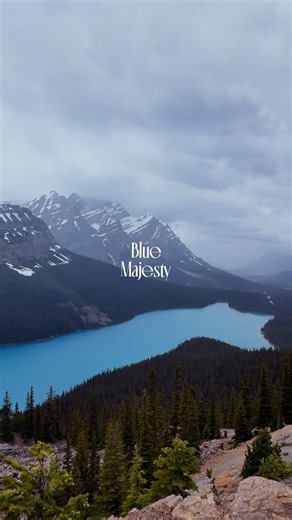 Peyto lake - The Most Beautiful Blue Lake in Banff | banff national park ,Alberta, Canada #peytolake