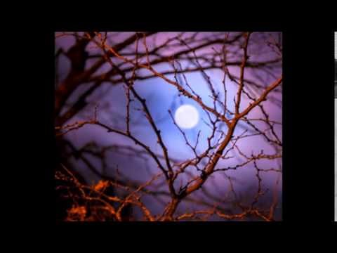 Dangerous (feat. Joywave) by Big Data