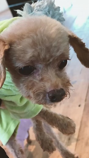 水嶋ヒロの愛犬とのおやつタイム🍪