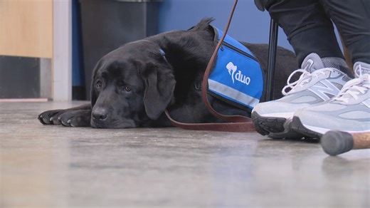 St. Louis facility matches service dogs with deserving owners