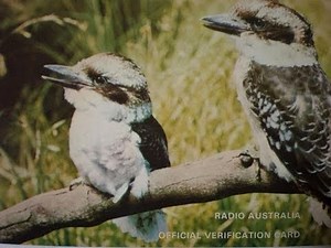 BCL(SWL):interval signals of radio stations