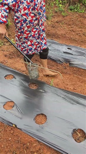There's a new ingenious method for opening the pores of the plastic film. #farmer #tips #lifetips