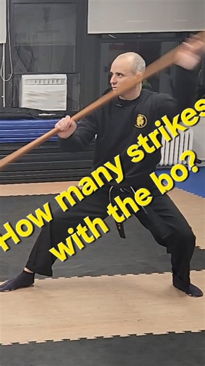 NYC Martial Arts-Bujinkan Dojo on Instagram: "How many strikes with the bo? Bujinkan Dojo #bujinkan #dojo #martialarts #training #fitnessmotivation"