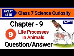 Class 7 Science Chapter 9 Question Answer | Life Processes in Animals | Ncert Solution