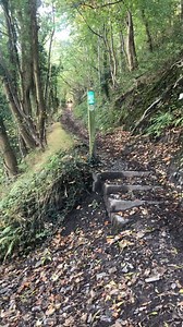 780 reactions · 25 comments | Sunday fun day! | Trail Riding UK | Facebook