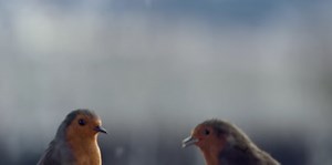 Waitrose's Christmas advert had us gasping at our screens...