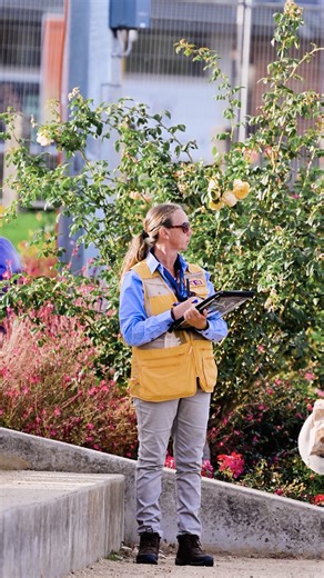 14K views · 205 reactions | EVENTING | Thats a wrap for the Adelaide Equestrian Festival and what an amazing 4 days it was!  Click Capture Photography | Equestrian Australia | Facebook