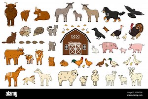 Set of cute cartoon doodle farm animals. Vector collection of donkey goose cow bull pig hog chicken hen rooster goat sheep duck horse turkey cat dog h Stock Vector Image & Art - Alamy