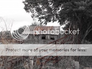 Abandoned Barns and Buildings