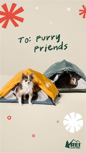 Got an adventure-obsessed trail buddy? 🐕‍🦺 Our gift guide is packed with gear for pets who hike, camp and chase waterfalls with you. No guesswork, just tail-wagging wins. | REI