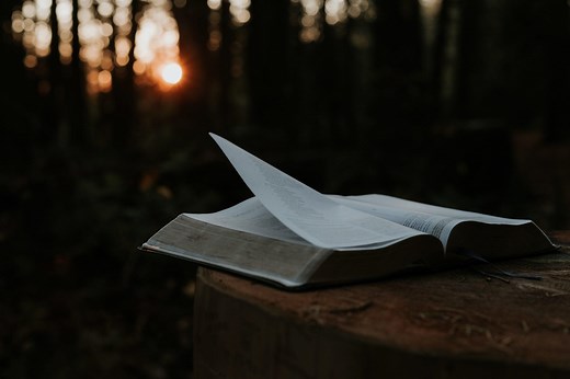 La vérité : définition, critère, problématique