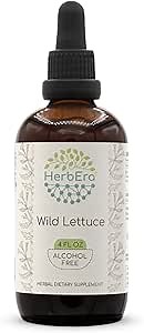 HerbEra Wild Lettuce B120 Alcohol-Free Herbal Extract Tincture, Concentrated Liquid Drops Natural Wild Lettuce (Lactuca virosa) (4 Fl Oz)