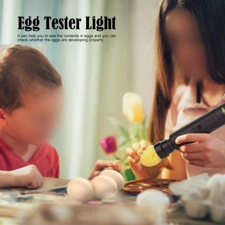 Egg  Light convenient Light Egg Incubator Light Equipped with cold light unit for help you to see the contents in eggs - Walmart.ca