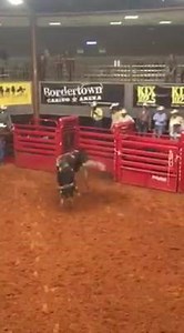5.4K views · 649 reactions | American Ride trained by Laramie Wilson | Exclusive Bucking Bull Info | Facebook