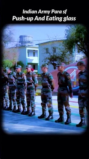 Para sf commandos push up #parasf #commando