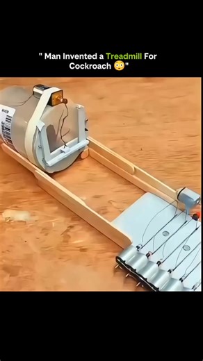 EDUCATION | MINDSET AND FACTS on Instagram: "🪳🏃‍♂️ Yes, Humans Invented a Treadmill… for Cockroaches • This tiny treadmill isn’t a joke — it’s real science. • Designed to study movement, stamina, and behavior. • Cockroaches are placed on a low-friction spherical surface. • As they walk, sensors track speed and direction. • The system keeps the insect centered in place. • Researchers analyze navigation and reflexes. • Helps study neural control of movement. • Used in robotics and AI-inspired lo